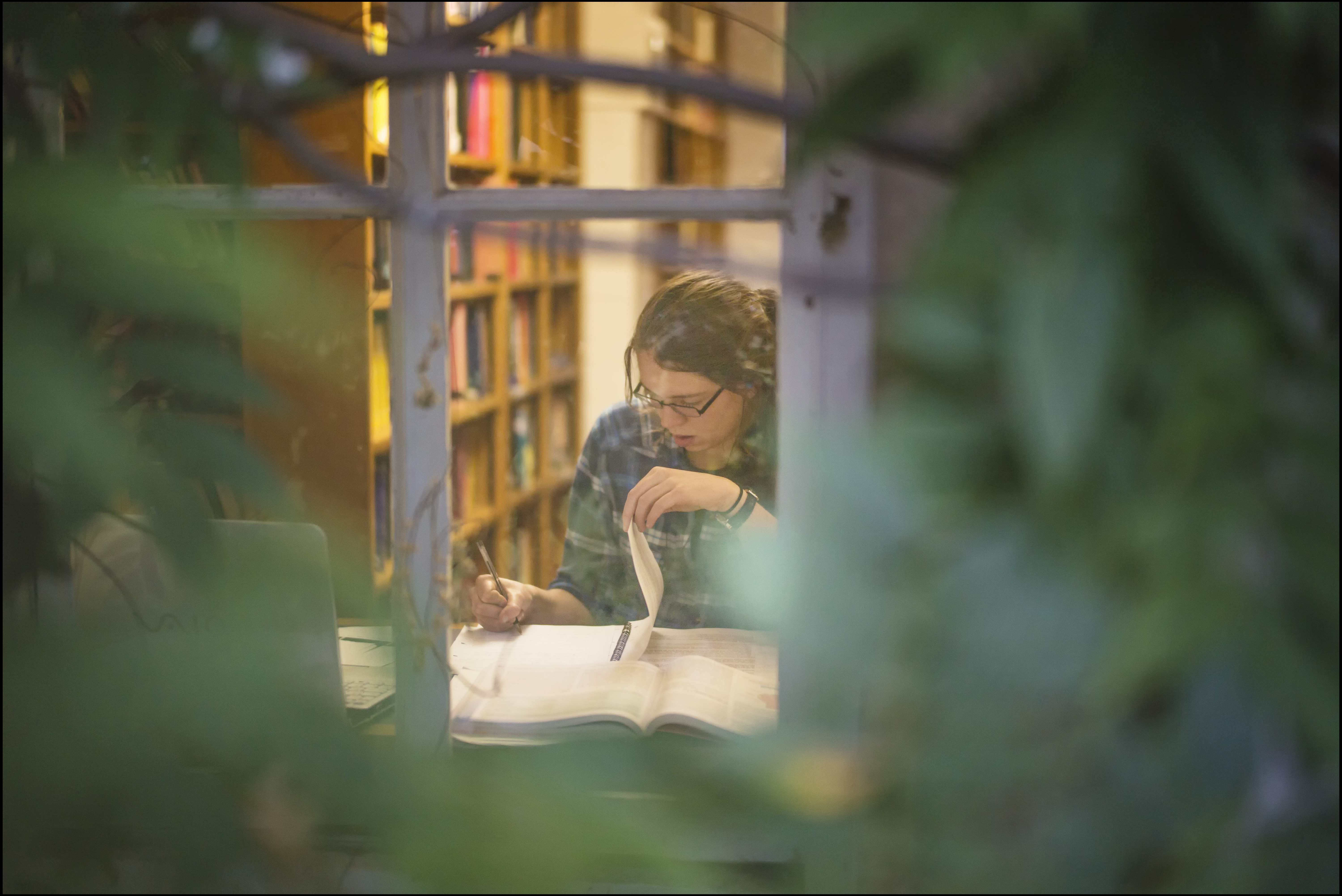 Photo of student studying in the LMH Library window taken through a tree from a distance