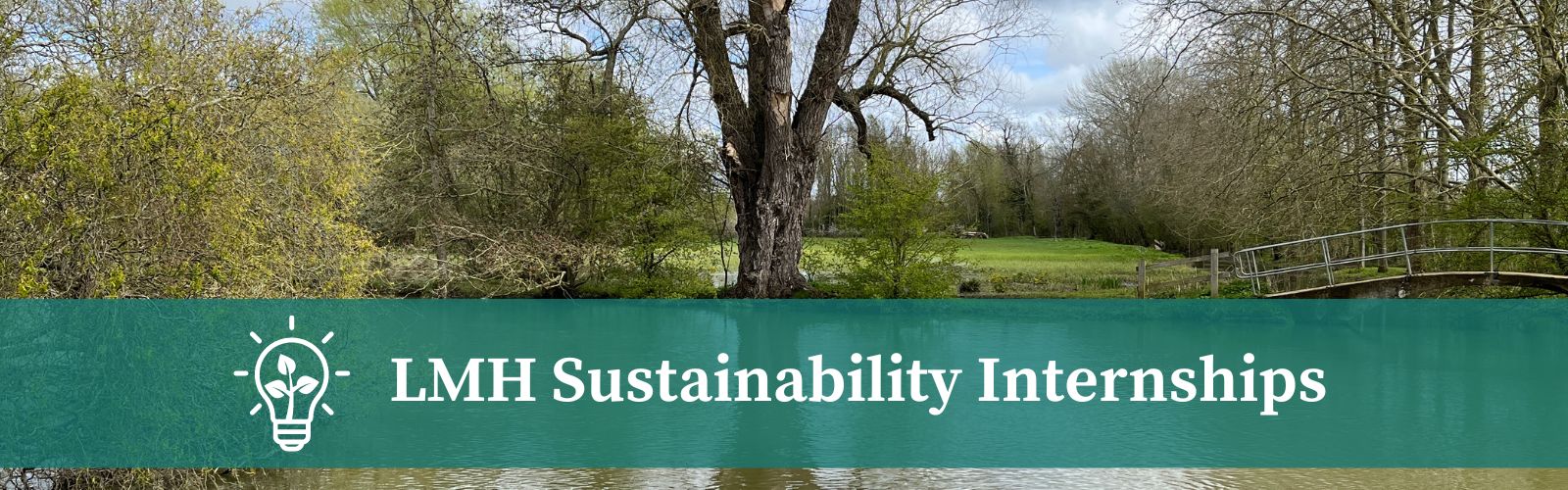 Photo of a tree by the side of a river with the text: LMH Sustainability Internships