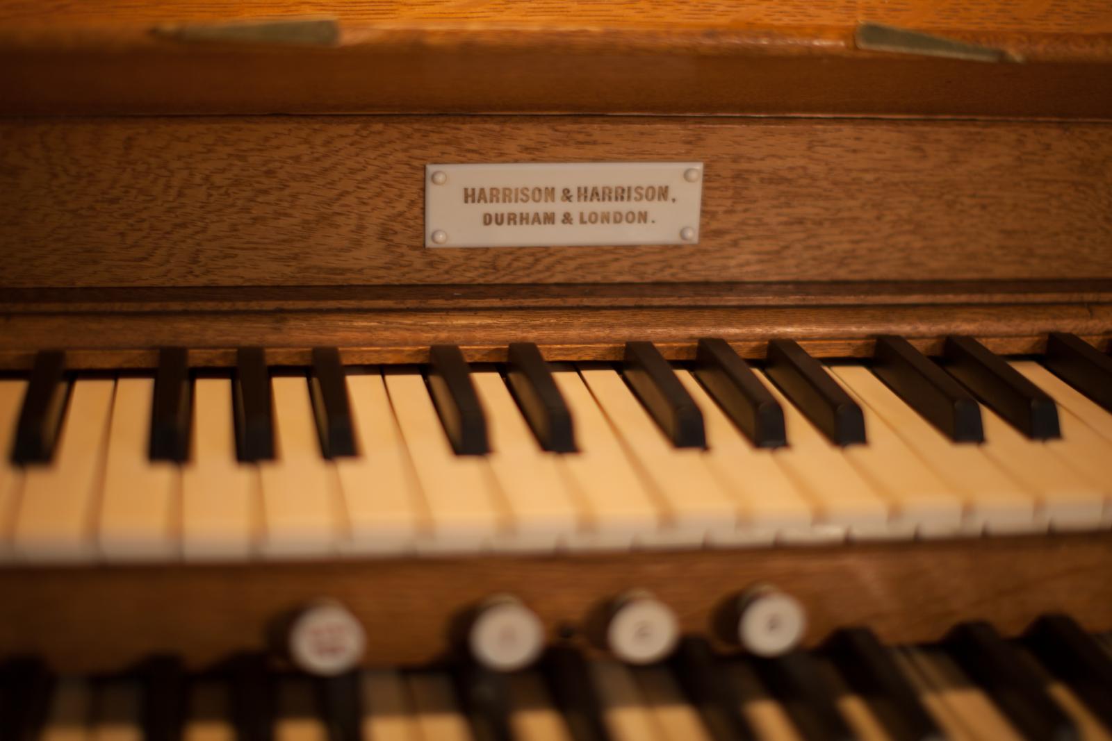 LMH organ