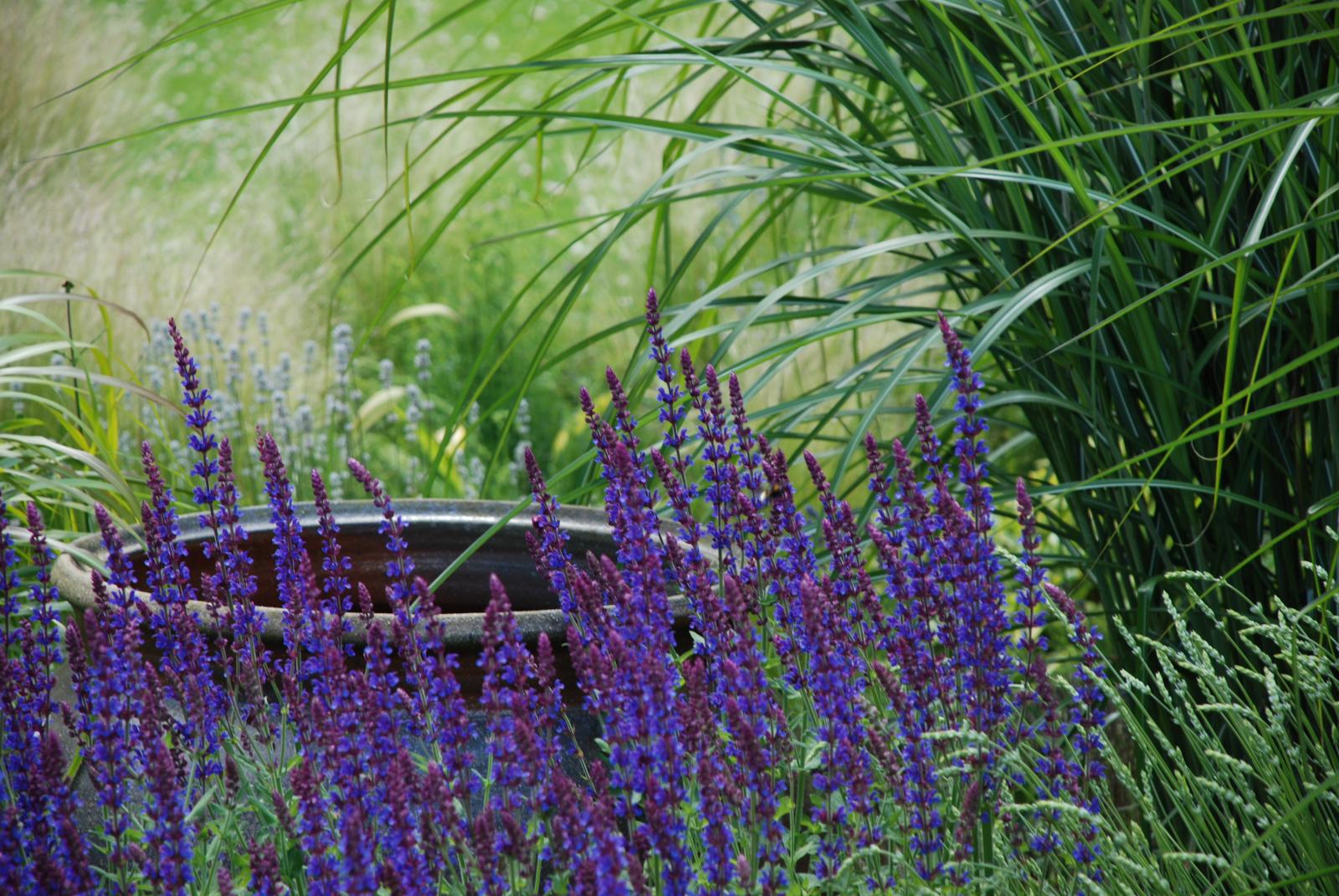 LMH gardens