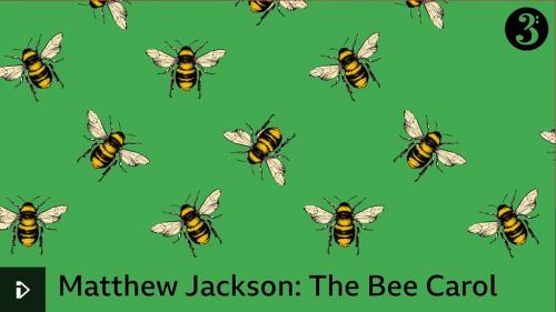 Bee carol graphic by Matthew Jackson, third year Music student	