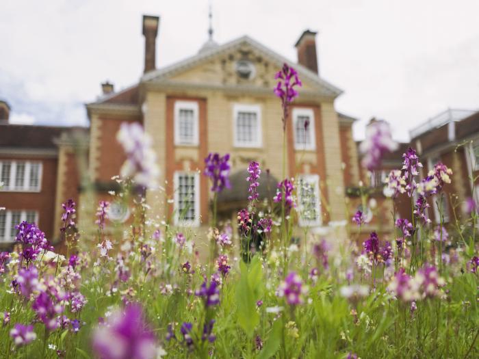 Talbot Hall and summer meadow