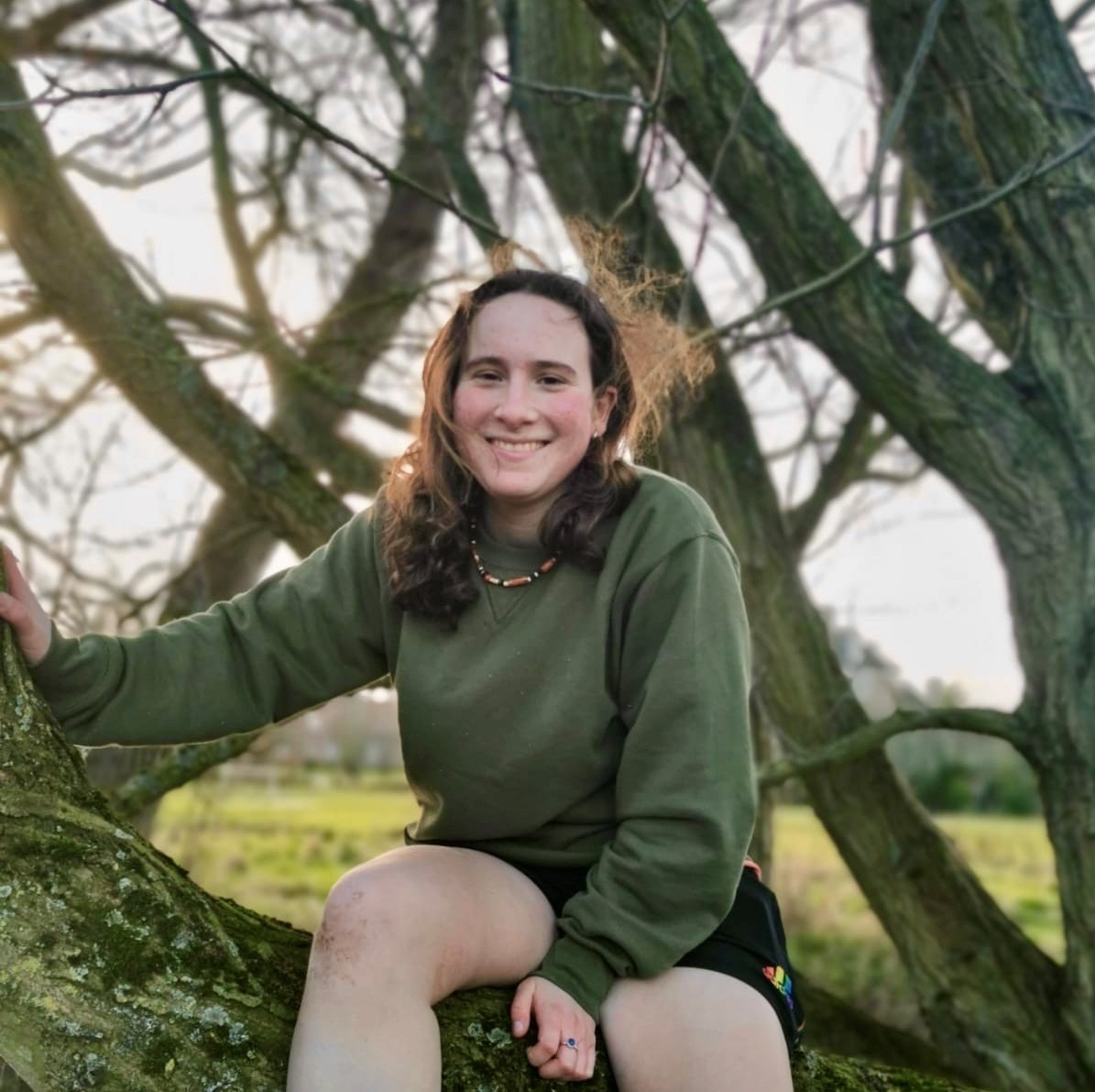 A woman with long dark hair sitting in a tree smiling.