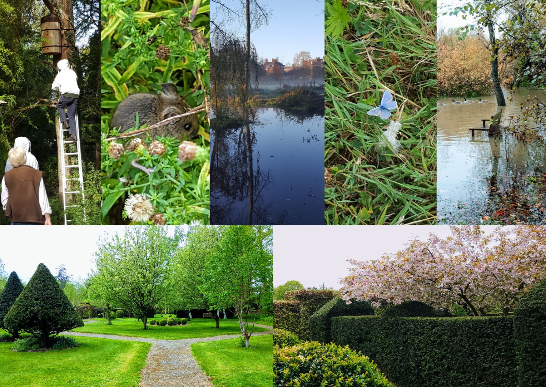 A collage of photos of the Lady Margaret Hall gardens