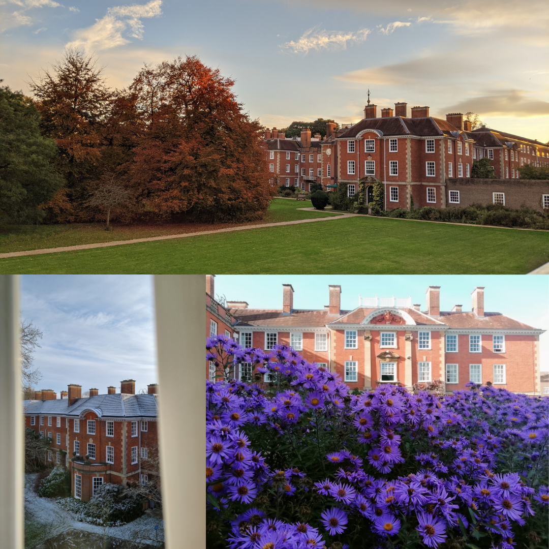 A collage of three photos - Top: Fellows lawn and a building at LMH approaching sunset, Lower left: A view through the curtains of a snow covered building at LMH, Lower right: A view of an LMH building with beautiful purple flowers in the forground