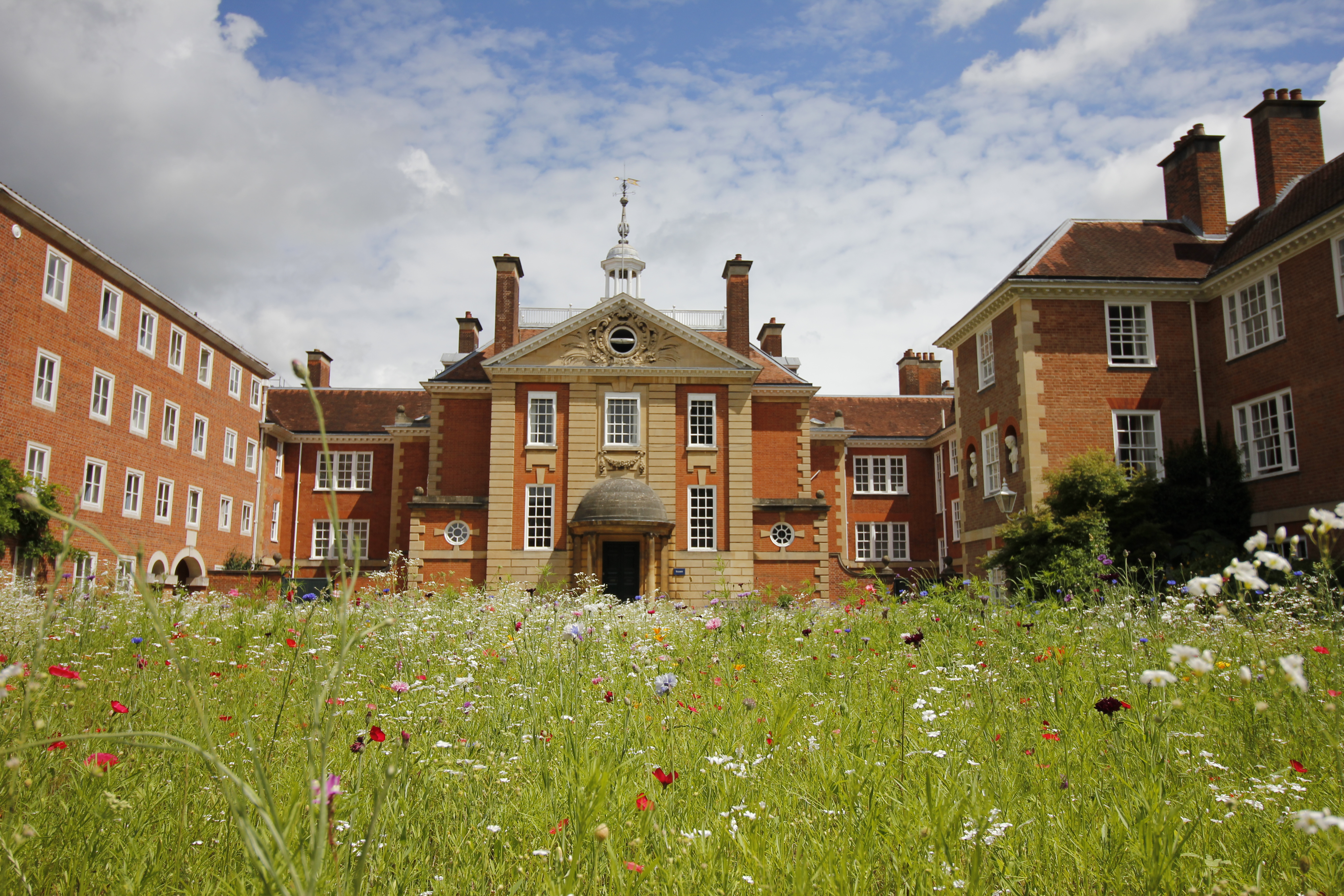 A view of Talbot Hall and wildflower meadow in the quad at LMH