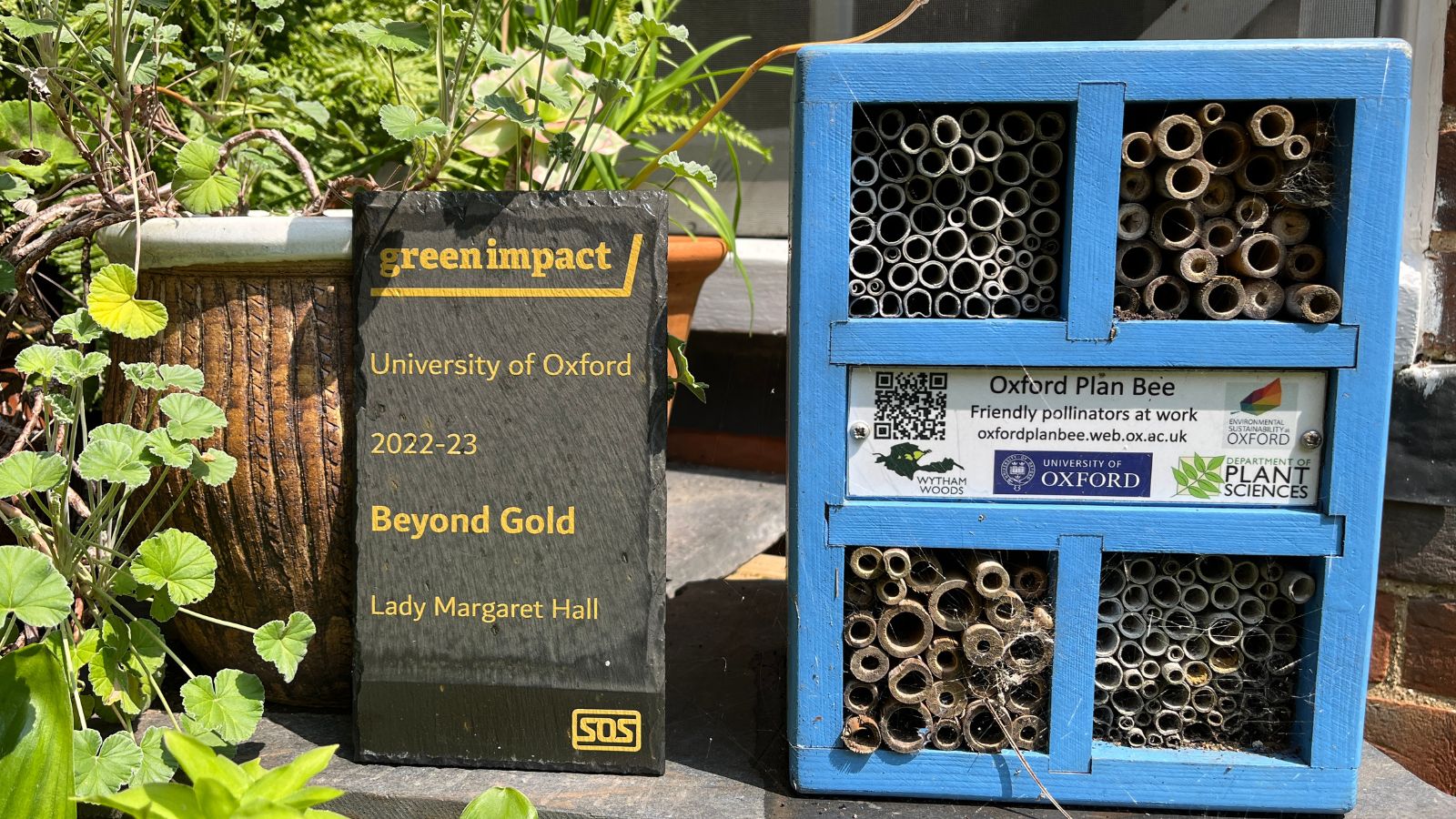 Photo of a Green Impact Beyond Gold Award awarded to LMH, sitting amongst pots of plants and next to a blue bee hotel