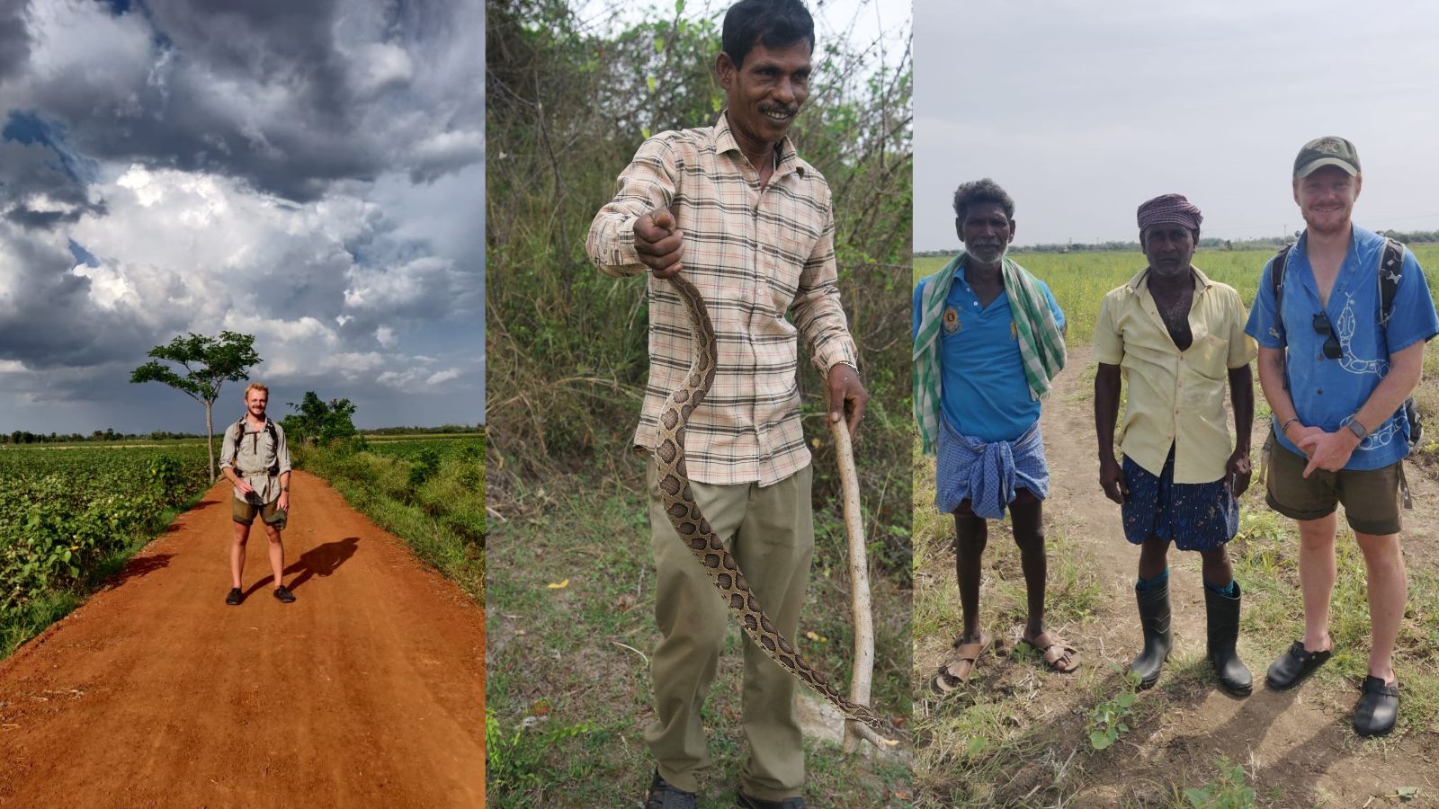 Three images of Harrison Carter in India, and of local people dealing with snakes