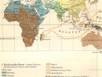 Ethnographic map of Africa, from Meyers Blitz-Lexikon (1932).