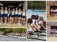 Collage of photos of rowers competing in the Summer Eights competition