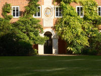 Green wisteria plants climbing up a red brick building