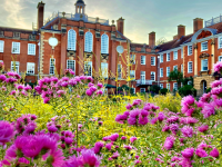 A grand Edwardian building with intricate windows overlooks a garden with purple flowers in the foreground.