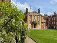 A view of LMH's Talbot building through the hanging green and white branches of a wisteria plant