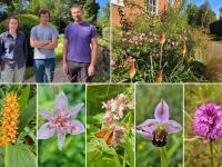 A photo of LMH's gardeners, two men and one woman, standing against a beautiful backdrop of greenery and flowers. Alongside this main image are smaller images showing close-ups of a variety of brightly coloured flowers from the LMH gardens.