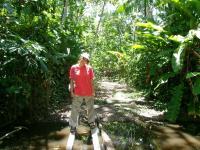 Hela in Suriname
