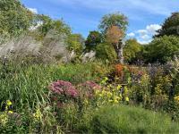 Colourful flowers against a bright blue sky