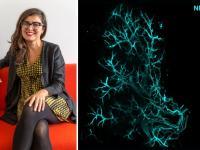 Pictured: Professor Ana Domingos alongside an image of Neuropetide Y in sympathetic axons within a fat pad