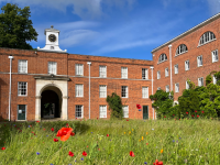 A red brick building with a clock tower set against a bright blue sky and with grass and red poppies in the foreground