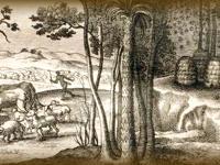 Detail from a woodcut illustrating beekeeping, from Virgil's 'Georgics'