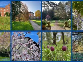 Montage of photos of the LMH gardens