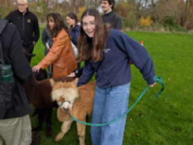 Anna and an alpaca 