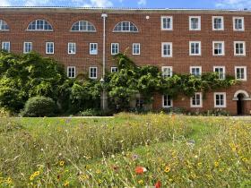 LMH's Wolfson Quad, which features a four-storey red brick building with lots of white-framed windows and in the foreground a wildflower meadow is blooming
