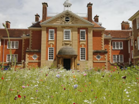A view of LMH Talbot buildings  from the wildflower meadow
