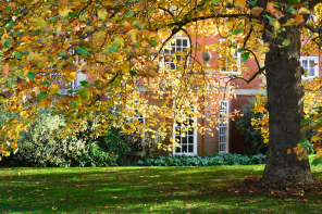 A beautiful autumn scene of a red brick building viewed through a screen of yellow leaves on a tree
