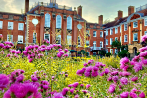 A grand Edwardian building with intricate windows overlooks a garden with purple flowers in the foreground.