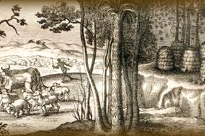 Detail from a woodcut illustrating beekeeping, from Virgil's 'Georgics'