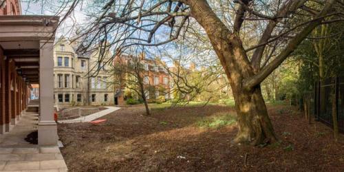 Clore Graduate Centre garden (photo credit: Michail Katsillis)