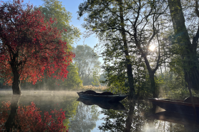 A red tree emerges from the flooded and misty river Cherwell, creating an atmospheric scene