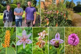 A photo of LMH's gardeners, two men and one woman, standing against a beautiful backdrop of greenery and flowers. Alongside this main image are smaller images showing close-ups of a variety of brightly coloured flowers from the LMH gardens.