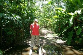 Hela in Suriname