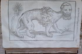 A drawing of a manticore, a human head with the body of a lion