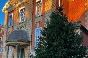 A large christmas tree with subtle blue lights standing in front of an imposing red brick building