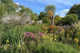 Colourful flowers against a bright blue sky