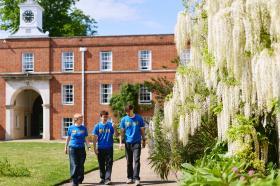 Three students wearing blue tshirts walking through a quadrangle framed by white wisteria flowers