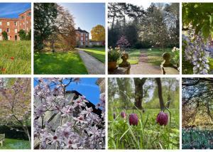 A montage of photos from the LMH gardens, including trees and wildflowers and cherry blossom