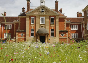 A view of LMH Talbot buildings  from the wildflower meadow
