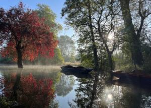 Boats on the River Cherwell at Lady Margaret Hall, Oxford, with morning mist rising and autumn trees reflected in the water.