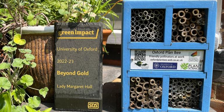 Photo of a Green Impact Beyond Gold Award awarded to LMH, sitting amongst pots of plants and next to a blue bee hotel