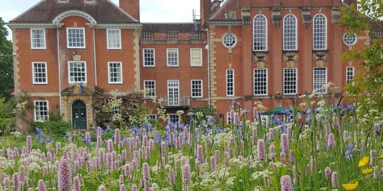 A red brick victorian building at Lady Margaret Hall with pink persicaria flowers in the foreground