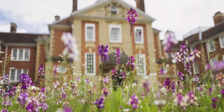 Talbot Hall and summer meadow