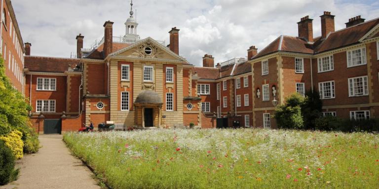 A view of Talbot Hall with the wildflower meadow