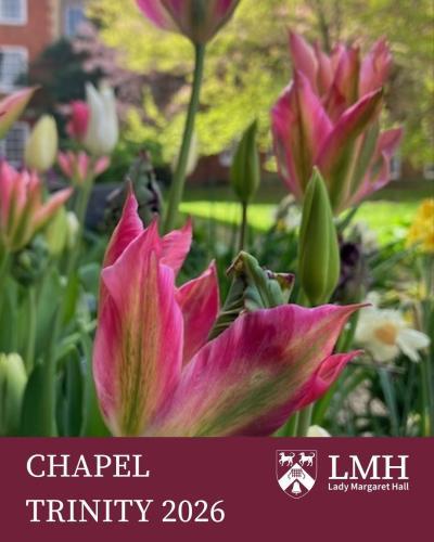 bright pink tulips with green stripes with the text: Chapel Trinity 2026