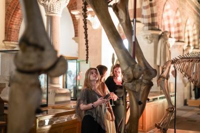 A young woman in the Natural History Museum