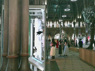 Students standing in the Natural History Museum, in front of a displayed dinosaur skeleton