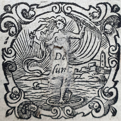 A black and white symmetrical illustration with 'De-Sun' text in the centre