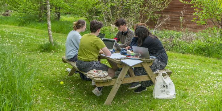 Students studying in the gardens at LMH